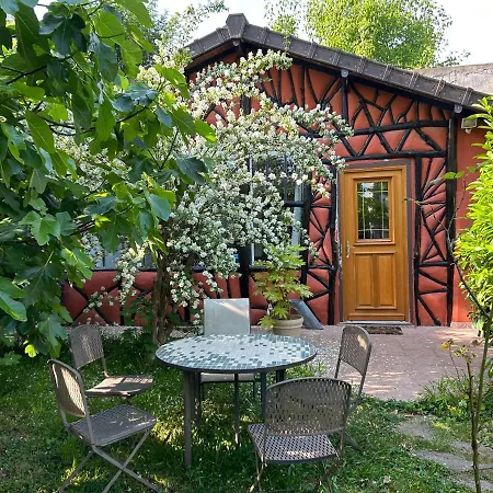 公寓 Charming Independent - Spacious With Terrace And Garden, 25 Minutes From Paris Saint-Maur-des-Fossés