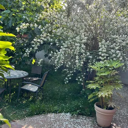 Charming Independent - Spacious With Terrace And Garden, 25 Minutes From Paris 公寓 *